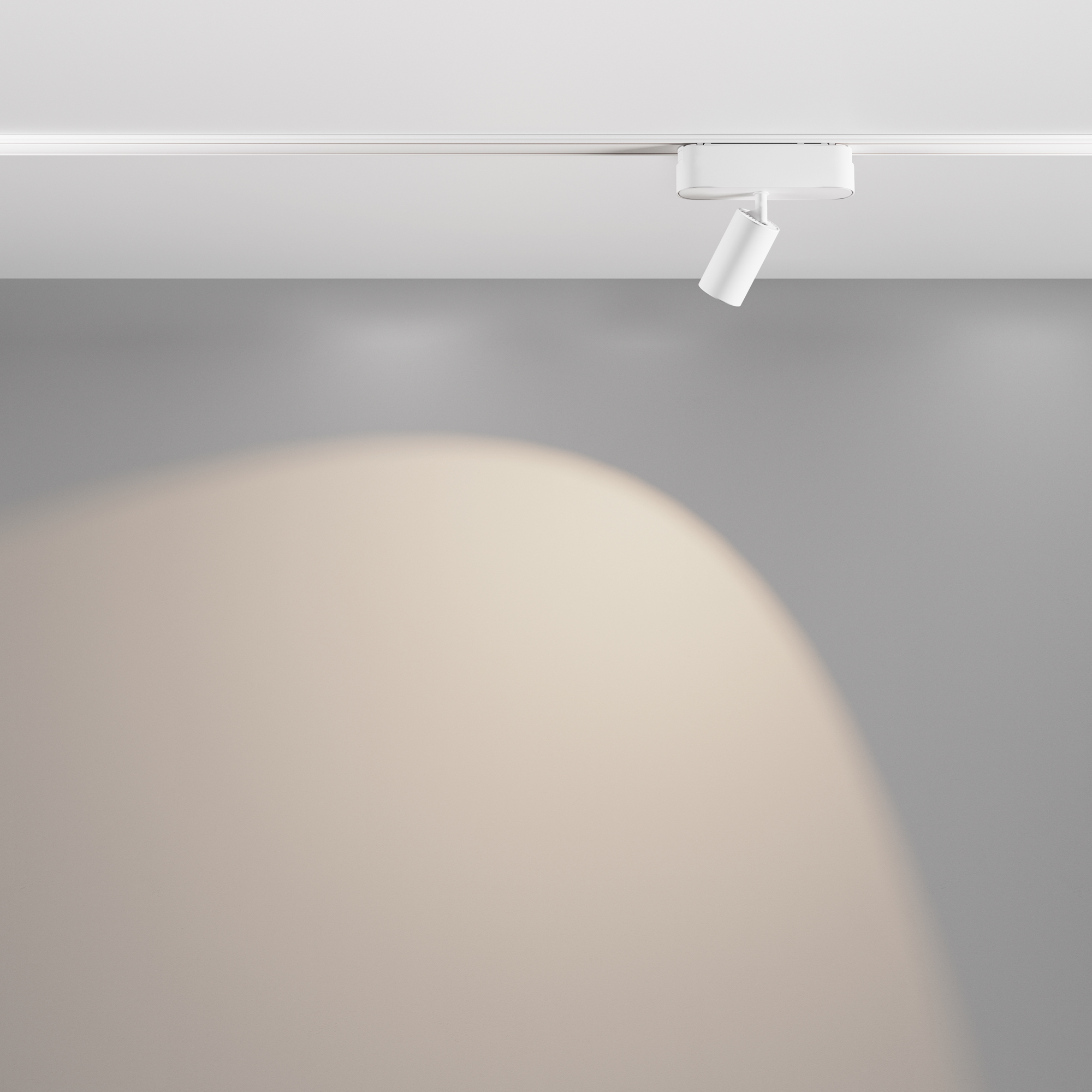 Трековый светильник Maytoni Focus LED TR103-1-5W4K-M-W_MY