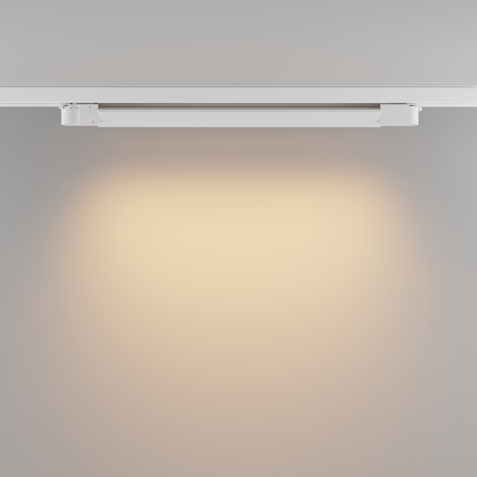 Трековый светильник трехфазный TRINITY Maytoni Basis TR196-3-20W2.7K-W_MY