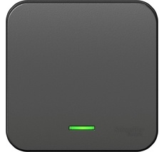 Выключатель накладной одноклавишный с подсветкой (антрацит) Systeme Electric BLNVA101116