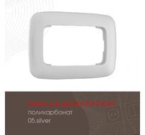 Рамка из поликарбоната для двойной розетки Arte Milano 505.05-double.silver