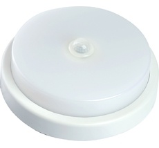 Потолочный светильник накладной светодиодный 6500k Feron 48565_FR