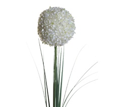 Алиум кремовый Garda Decor 8J-13RS0014