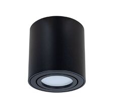 Накладной светильник Arte Lamp BEID A1513PL-1BK