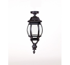 Потолочный светильник уличный IP44 Oasis Light 83405LA Bl_OL