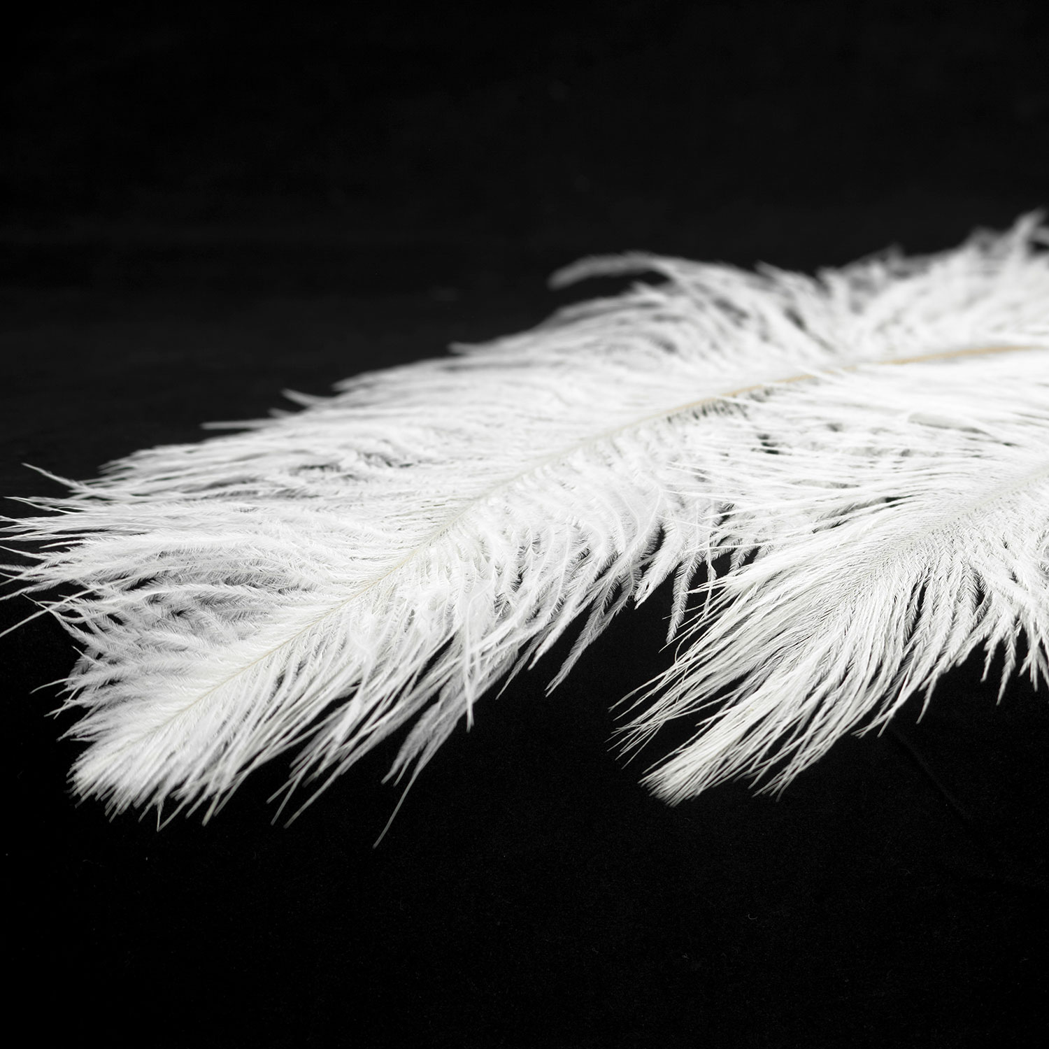 Потолочная люстра Lussole Cuscino GRLSP-8600