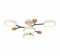 Потолочная люстра Evoluce FAEMA SLE6006-502-04