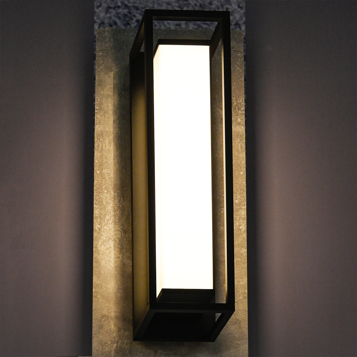 Настенный светильник Favourite Barer 4385-2W