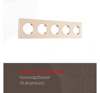 Рамка из поликарбоната на 5 постов Arte Milano 502.15-5.shampan