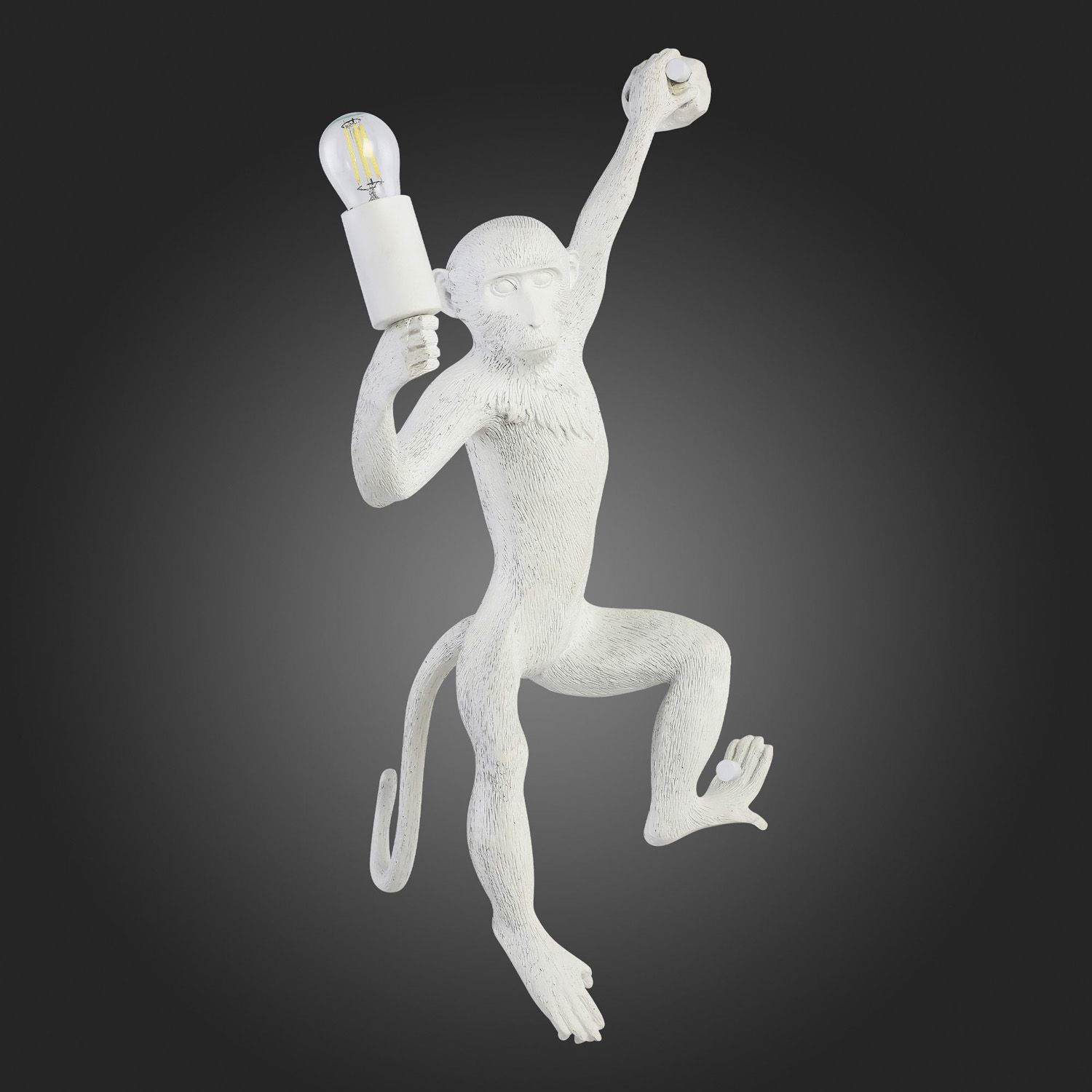 Настенный светильник Evoluce с мартышкой TENATO SLE115111-01