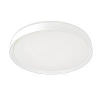 Потолочный светильник Citilux BOSS CL751450G