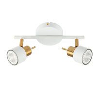 Потолочный светильник ArteLamp MACH A1906PL-2WH