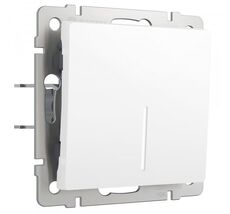 Выключатель одноклавишный проходной с подсветкой Werkel a062400_WR