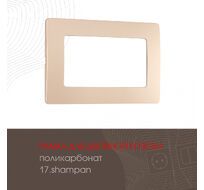 Рамка из поликарбоната для двойной розетки Arte Milano 517.17-double.shampan