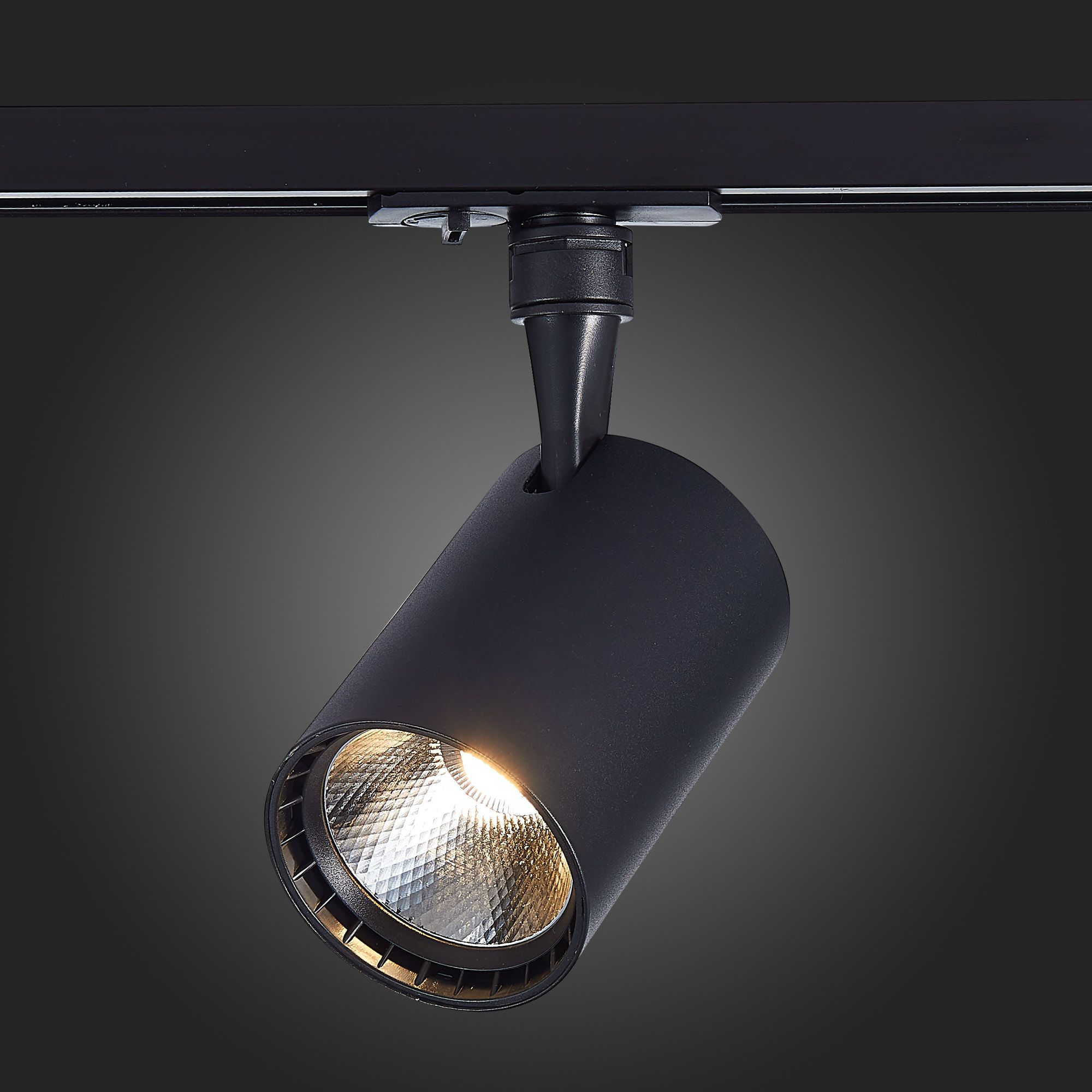 Трековый светильник ST Luce однофазный CAMI ST351.446.30.36