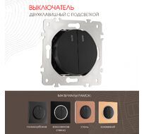 Выключатель двухклавишный с подсветкой 10AX 250V Arte Milano 202.31-2.black