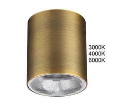 Накладной светильник ODEON LIGHT BRIM 7137/12CL