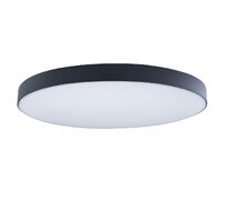 Потолочный светильник Loft IT Axel 10002/48 Black_LF