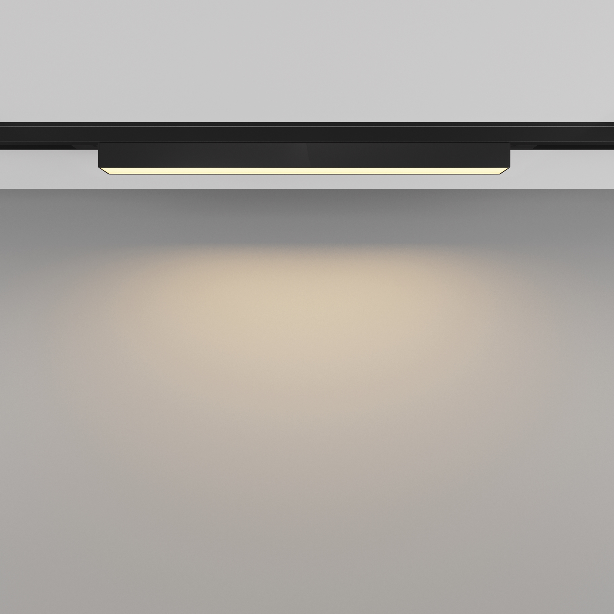 Трековый светильник Maytoni Basis TR192-1-8W2.7K-B_MY