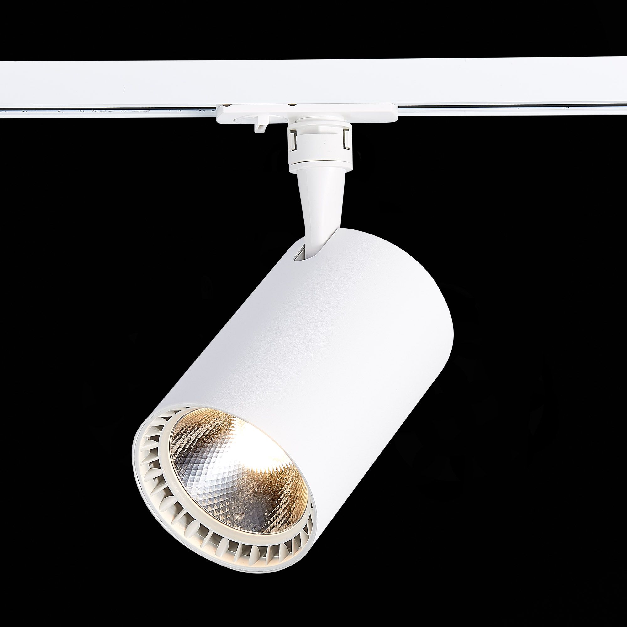 Трековый светильник ST Luce однофазный CAMI ST351.536.30.36