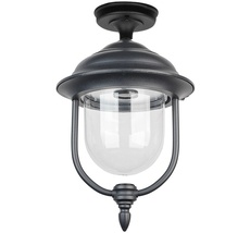 Потолочный светильник уличный IP44 Oasis Light 84305A Bl_OL