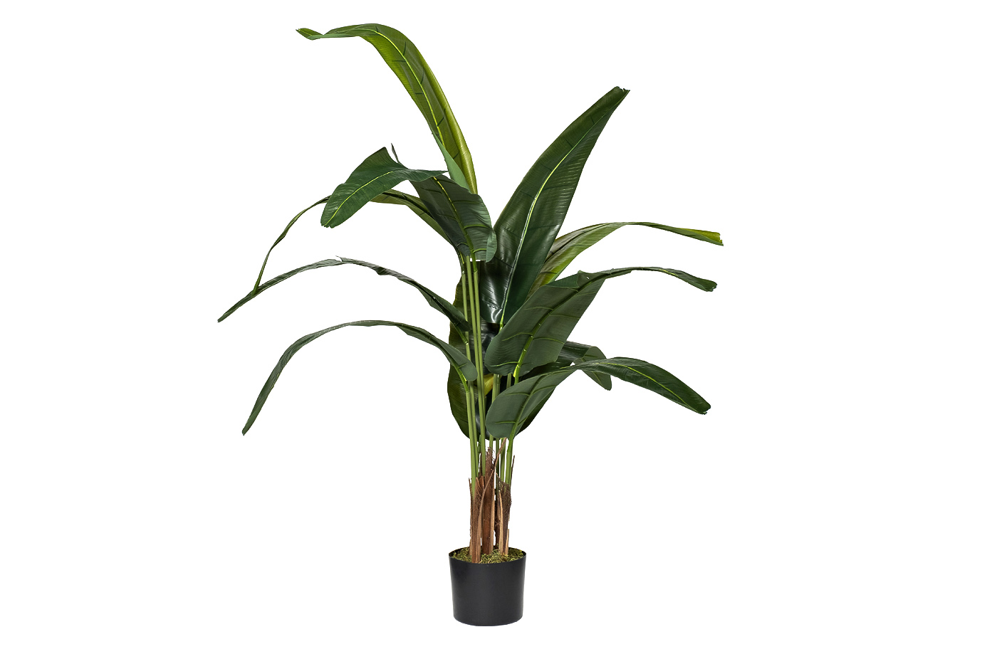 Дерево Travelers Tree в горшке Garda Decor 29BJ-778-12