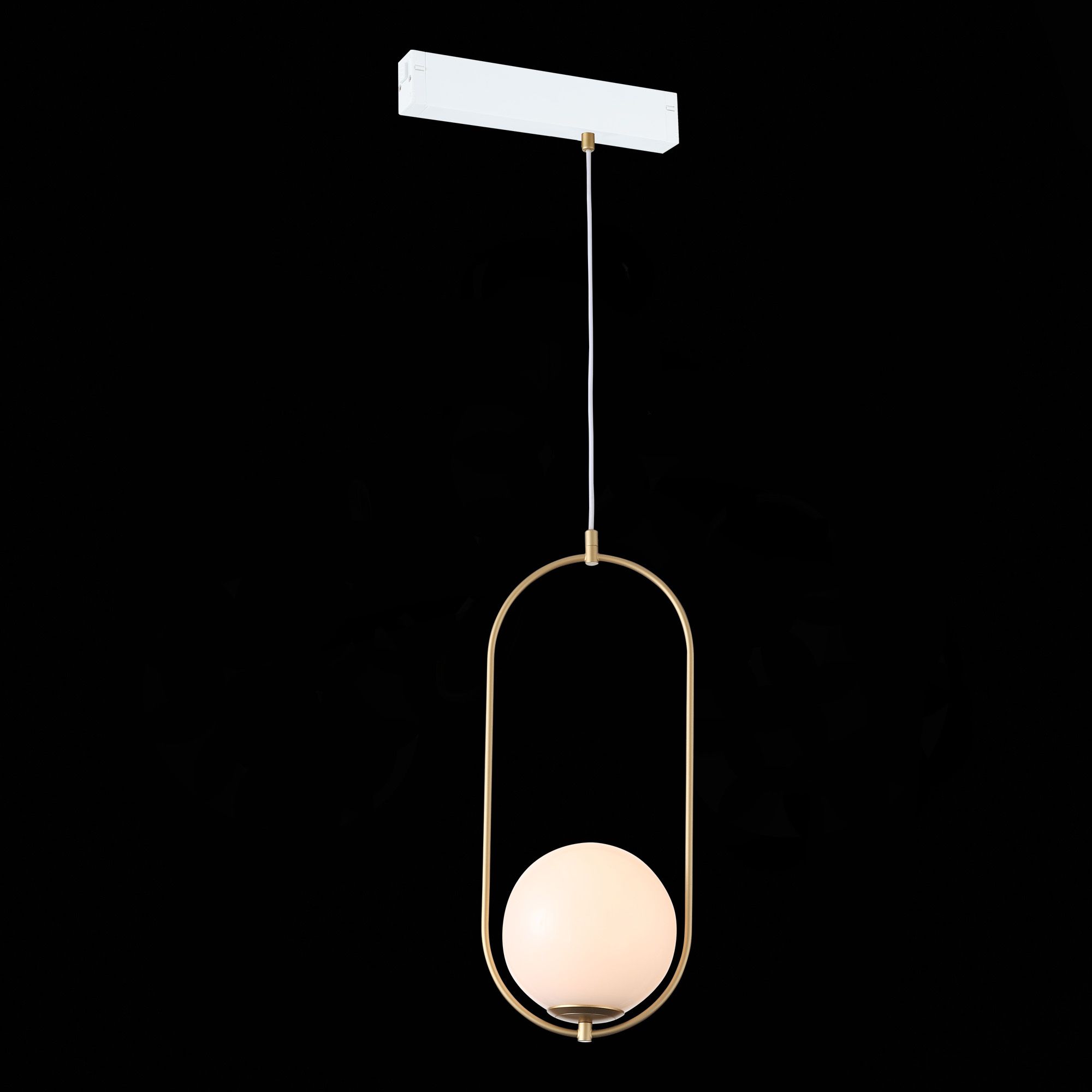 Трековый светильник ST LUCE SKYLINE 220 ST500.203.01