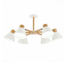 Потолочная люстра Evoluce BUVE SLE103702-06