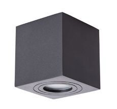 Накладной светильник ArteLamp GALOPIN A1461PL-1BK