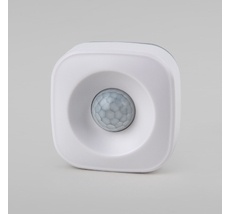 Умный датчик движения Elektrostandard a060312_ES