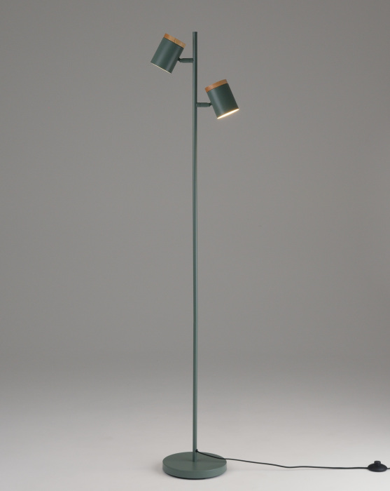 Торшер с галогенными лампами с выключателем Moderli V11290-2F_MD