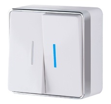 Выключатель двухклавишный с подсветкой Gallant WL15-03-03 a051586_WR