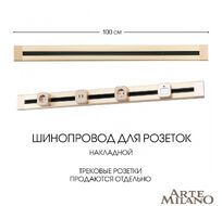 Шинопровод накладной Arte Milano track-sockets 382301TO/100 Gold