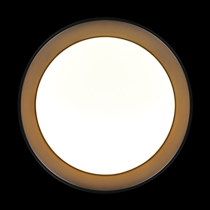 Потолочный светильник LOFT IT Coin 10202 BB_LF