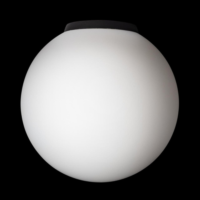 Настенно-потолочный светильник Citilux Ron CL941D20B5