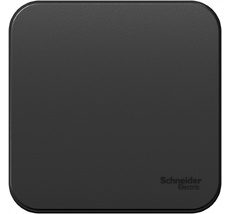 Выключатель накладной одноклавишный (антрацит) Systeme Electric BLNVA101006