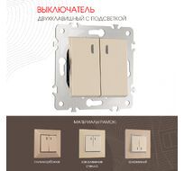 Выключатель двухклавишный с подсветкой 10AX 250V Arte Milano 203.31-2.shampan
