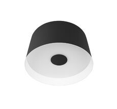 Потолочный светильник LOFT IT Duo 10360S Black_LF