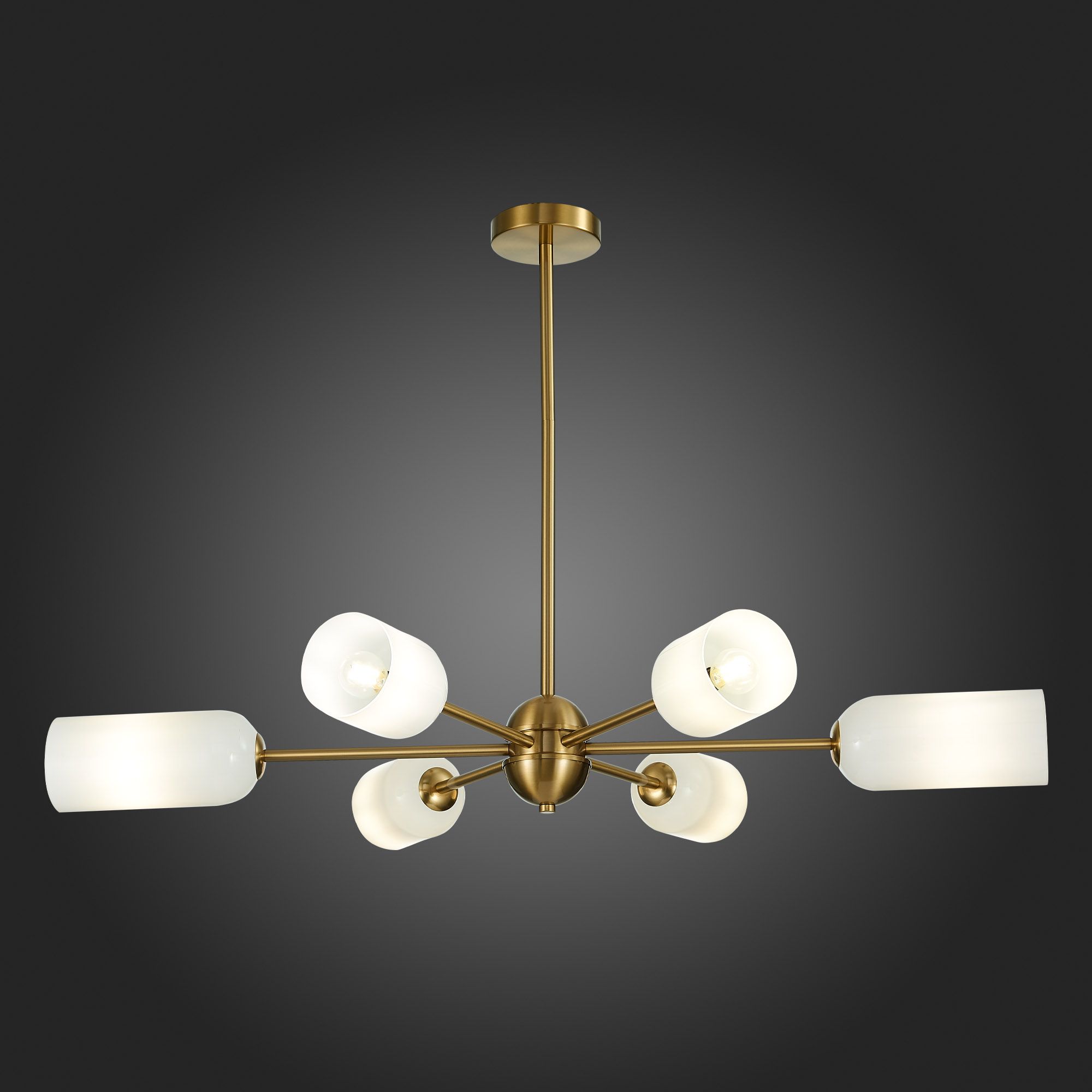 Потолочная люстра ST Luce TREVISO SL1180.202.06