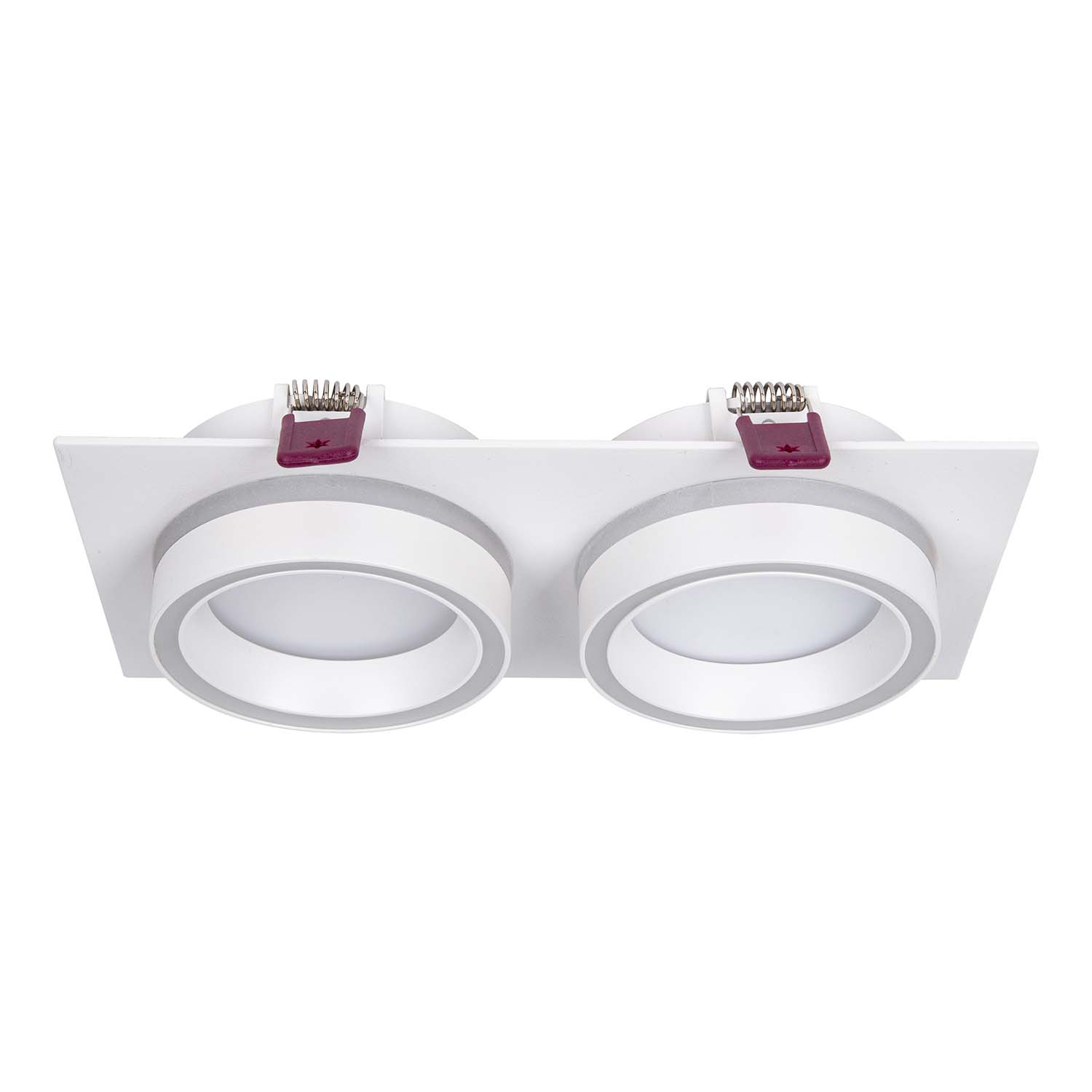 Врезной светильник Favourite Vasto 4650-2C