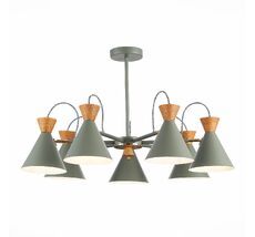 Потолочная люстра Evoluce Modica SLE125112-07