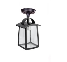 Потолочный светильник уличный IP44 Oasis Light 2736 05ACl Bl_OL