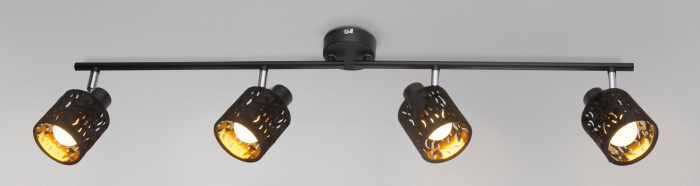 Спот Globo TROY 54121-4_GL