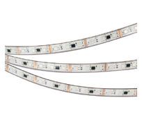 Лента Arlight DMX-PS-B60-12mm 039605_ARL