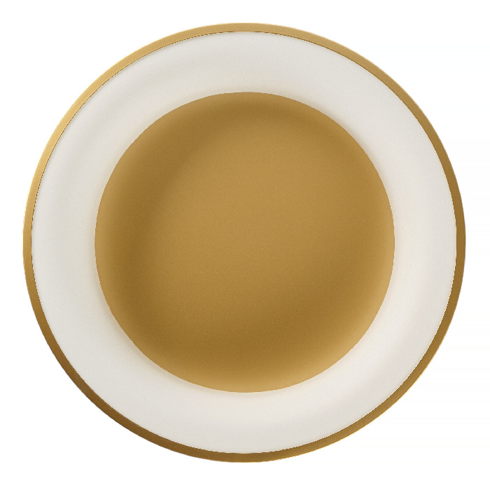 Потолочный светодиодный светильник круглый с пультом IP40 MyFar MR2195-1PL