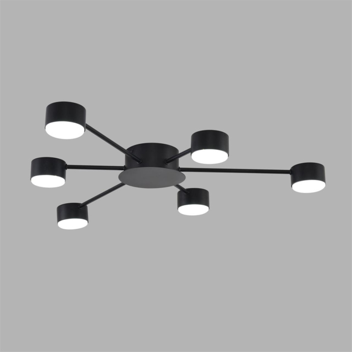 Потолочная люстра LUMION TORINA 8344/6C