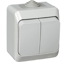 Выключатель накладной двухклавишный (серый) IP44 Systeme Electric BA10-042C