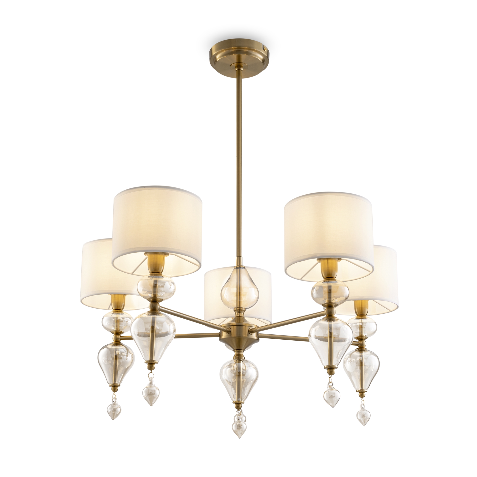 Потолочная люстра Raise FR5369CL-05BS_MY