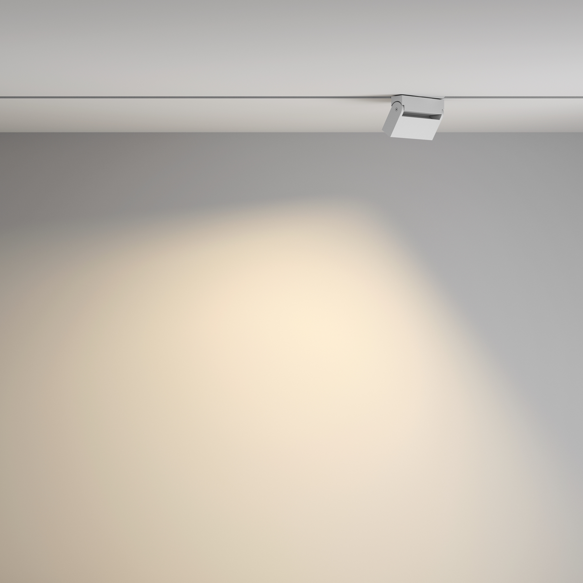 Трековый светильник Maytoni Technical Points Rot TR077-2-10W3K-W_MY