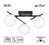 Потолочная люстра Citilux DORSY CL223132