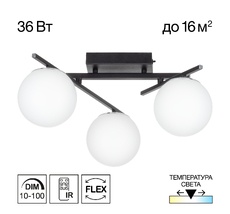 Потолочная люстра Citilux DORSY CL223132